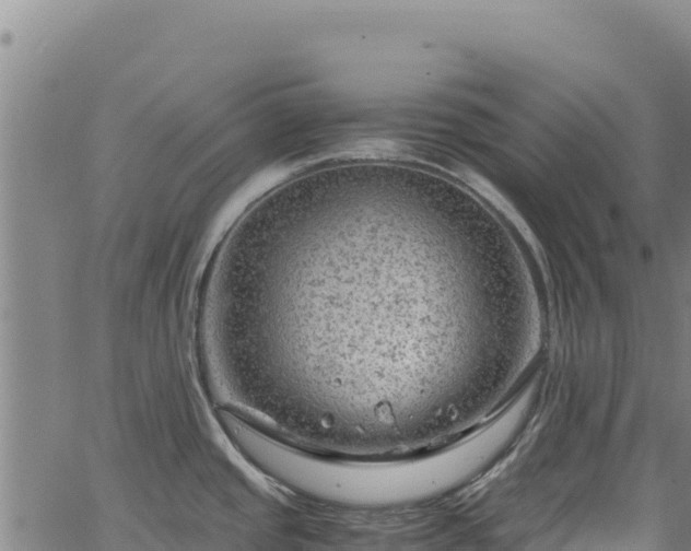 X0000064771437200602131305