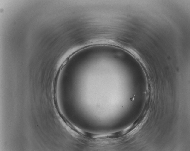 X0000064771438200602131305