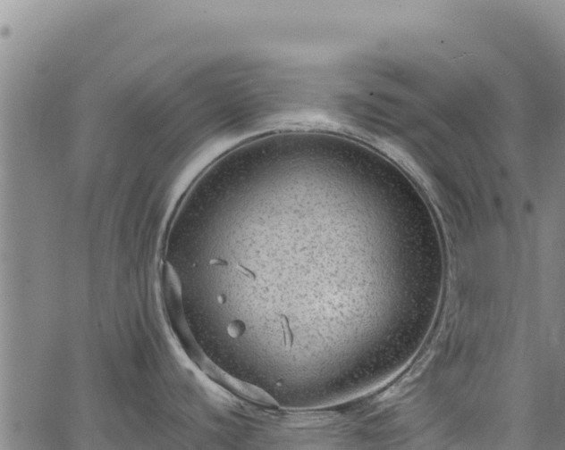 X0000064771440200602131305