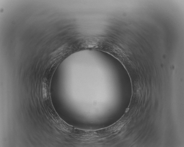 X0000064771442200602131305