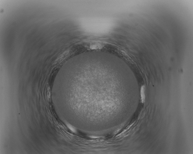 X0000064771443200602131305