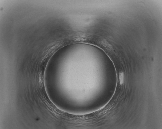 X0000064771444200602131305