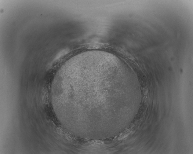 X0000064771446200602131305