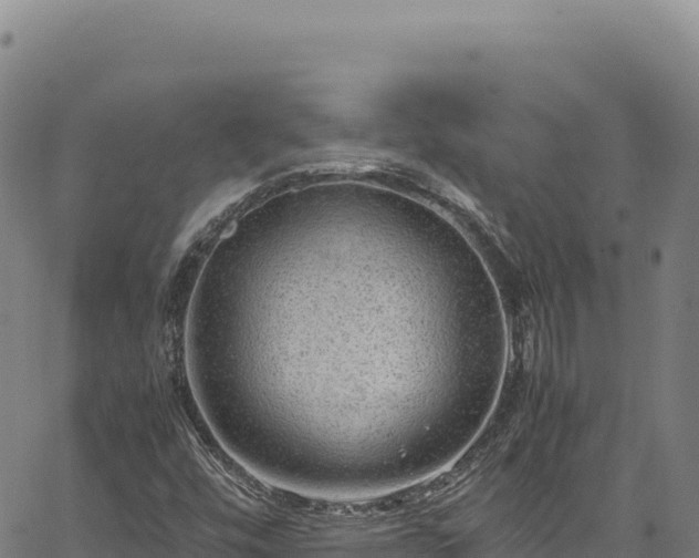 X0000064771448200602131304