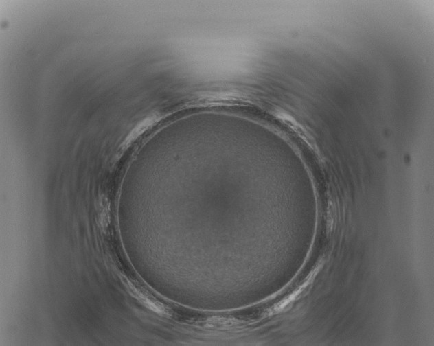 X0000064771449200602131304