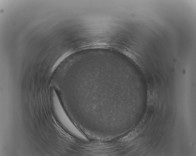 X0000064771450200602131304