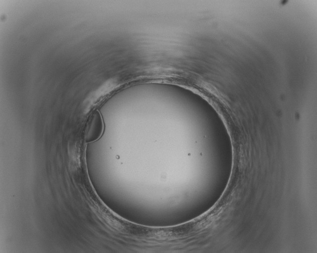 X0000064771451200602131304