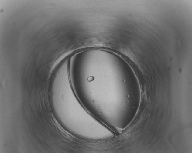 X0000064771452200602131304