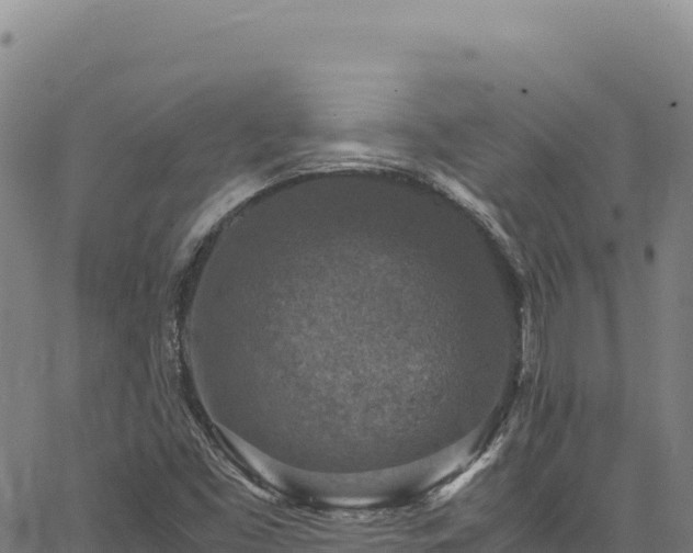 X0000064771453200602131304