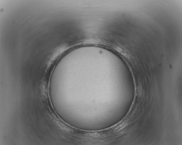 X0000064771454200602131304