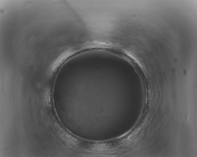 X0000064771455200602131304