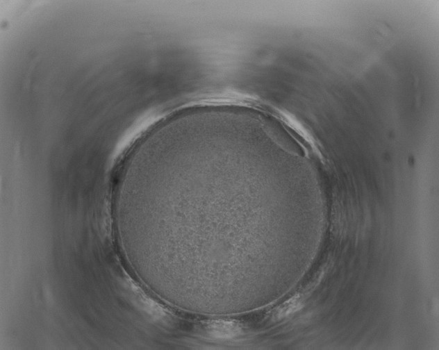 X0000064771456200602131304