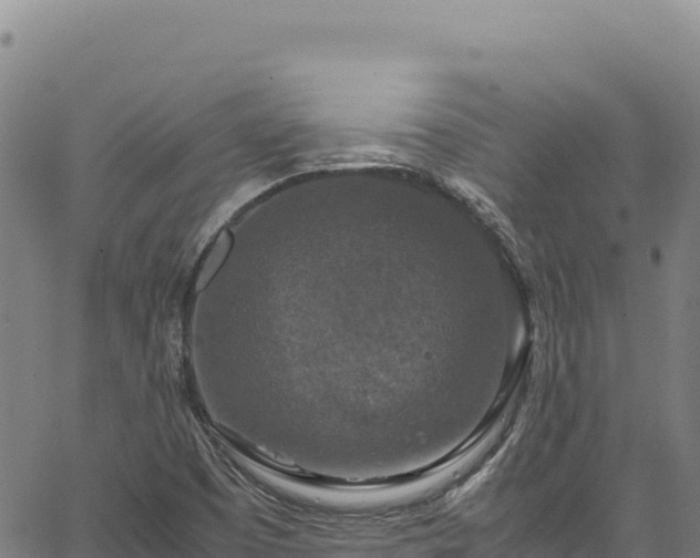 X0000064771457200602131304