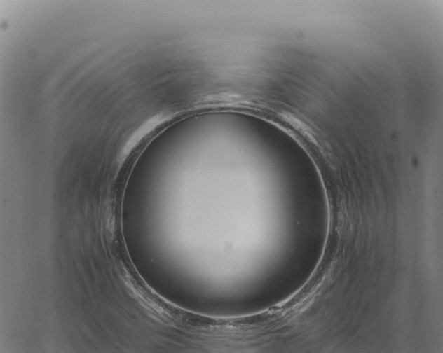 X0000064771458200602131304