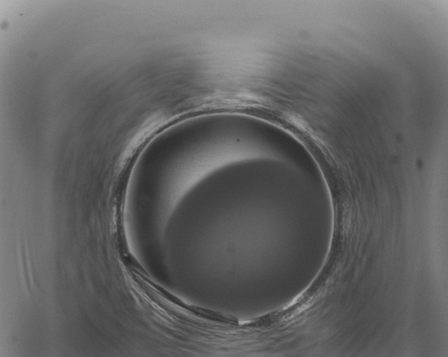 X0000064771459200602131304