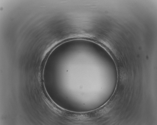 X0000064771460200602131304