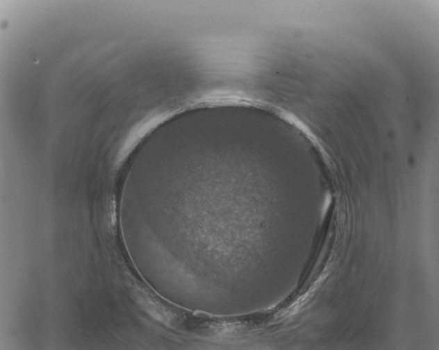 X0000064771461200602131304