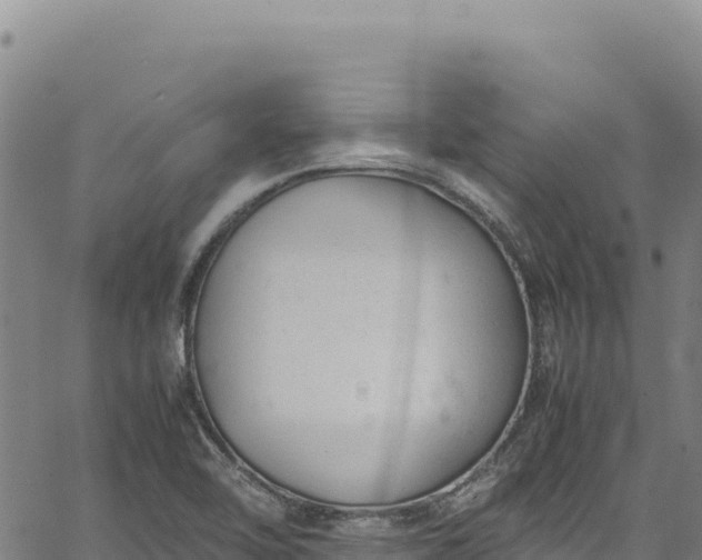 X0000064771462200602131304