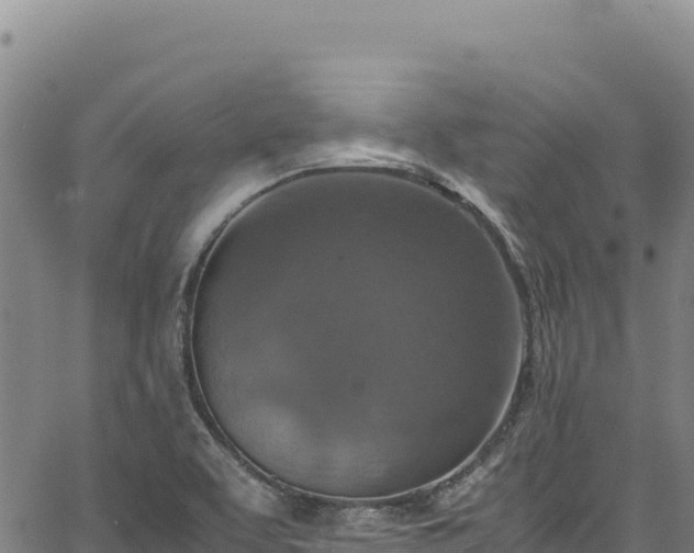 X0000064771463200602131304