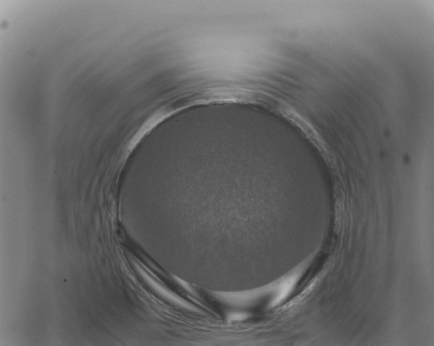 X0000064771465200602131304