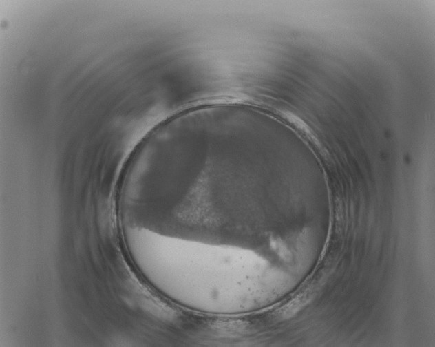 X0000064771466200602131304