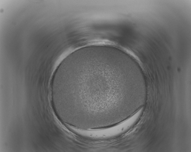 X0000064771467200602131304