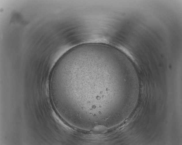 X0000064771468200602131304