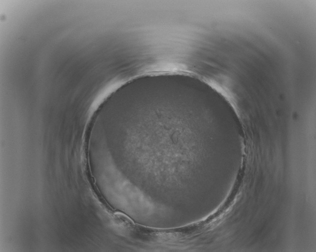 X0000064771469200602131304