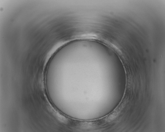 X0000064771470200602131304