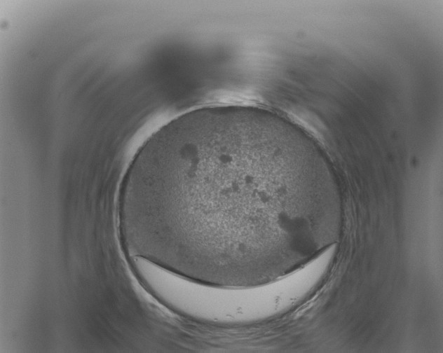 X0000064771471200602131304