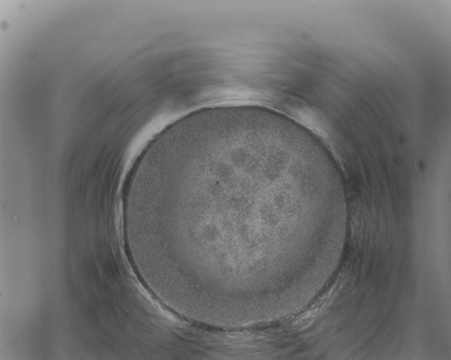 X0000064771472200602131304