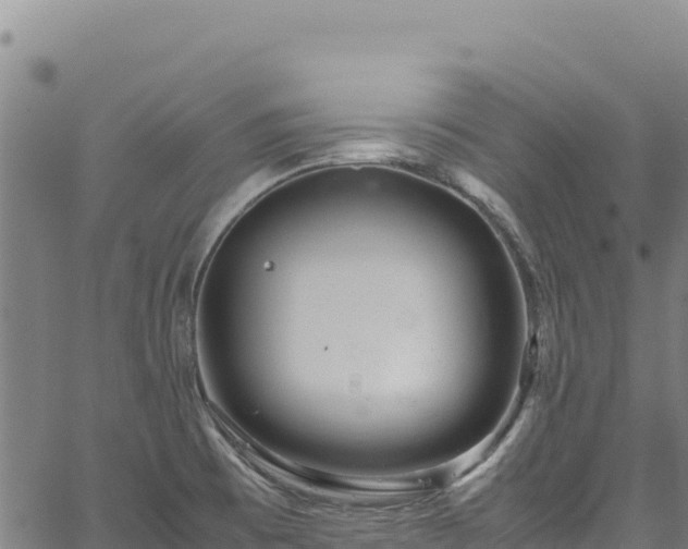 X0000064771473200602131304