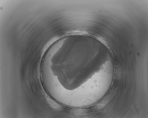 X0000064771474200602131304