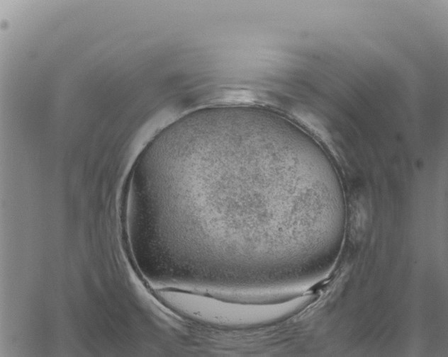 X0000064771475200602131304