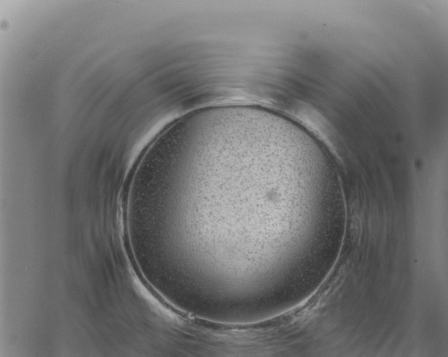 X0000064771476200602131304