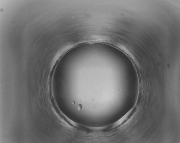 X0000064771477200602131304