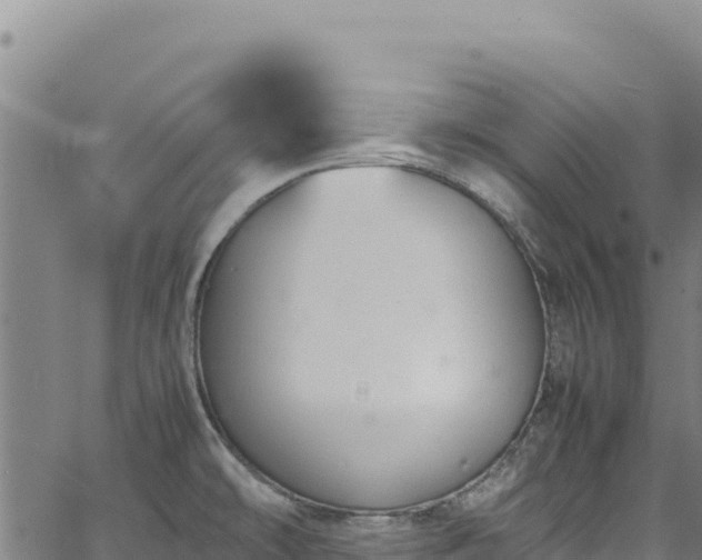 X0000064771478200602131304