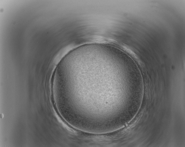 X0000064771479200602131304