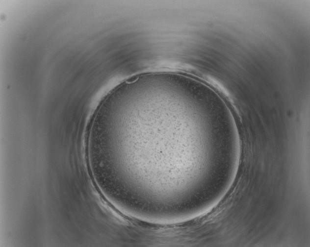 X0000064771480200602131304