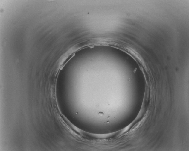 X0000064771481200602131304