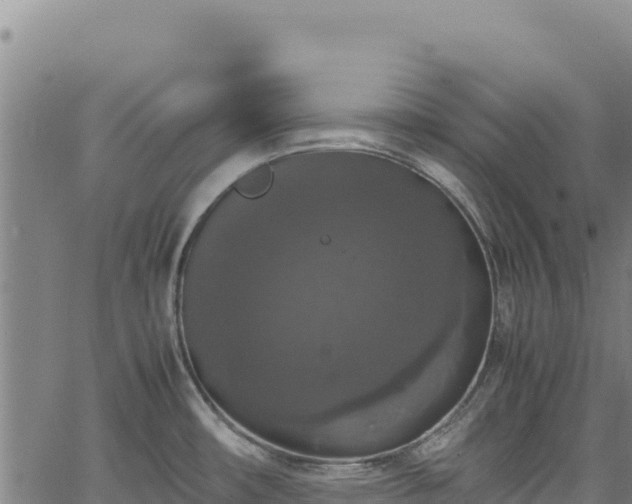 X0000064771482200602131304