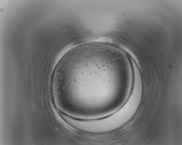 X0000064771483200602131304