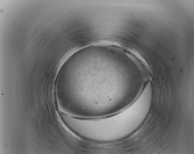 X0000064771484200602131304