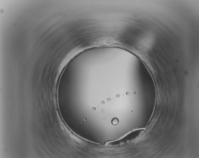 X0000064771486200602131304