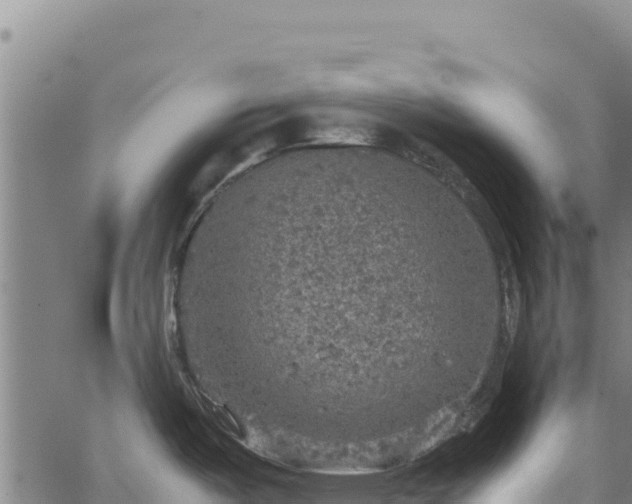 X0000064771487200602131304