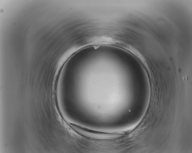 X0000064771488200602131304