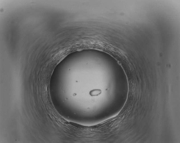 X0000064771489200602131303