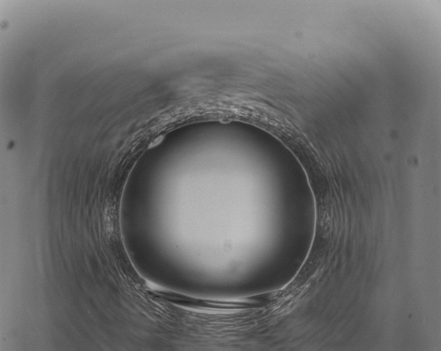 X0000064771490200602131303