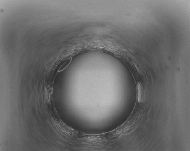 X0000064771491200602131303