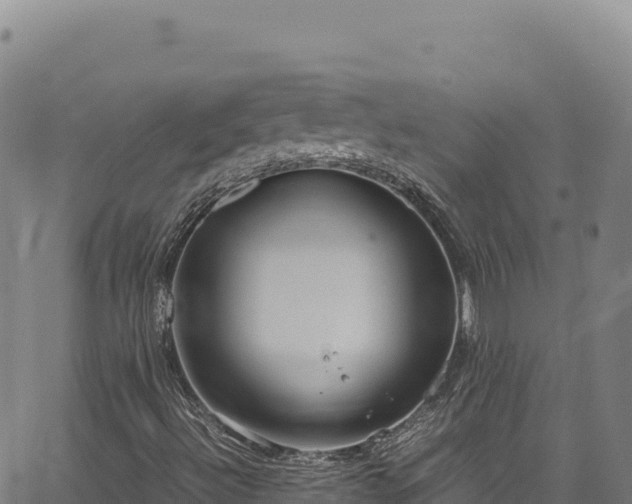 X0000064771492200602131303